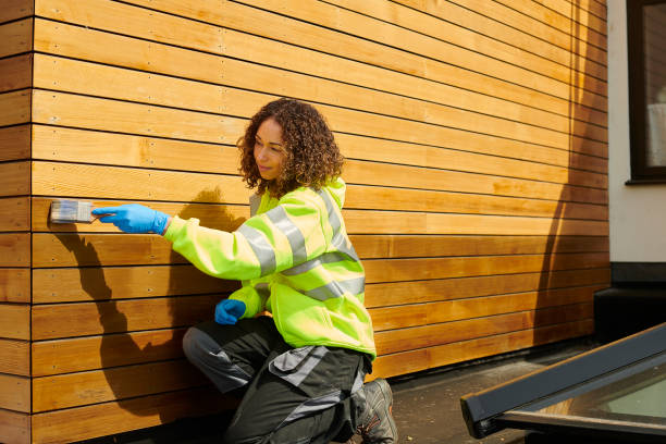 Best Fiber Cement Siding Installation  in Hampton, GA